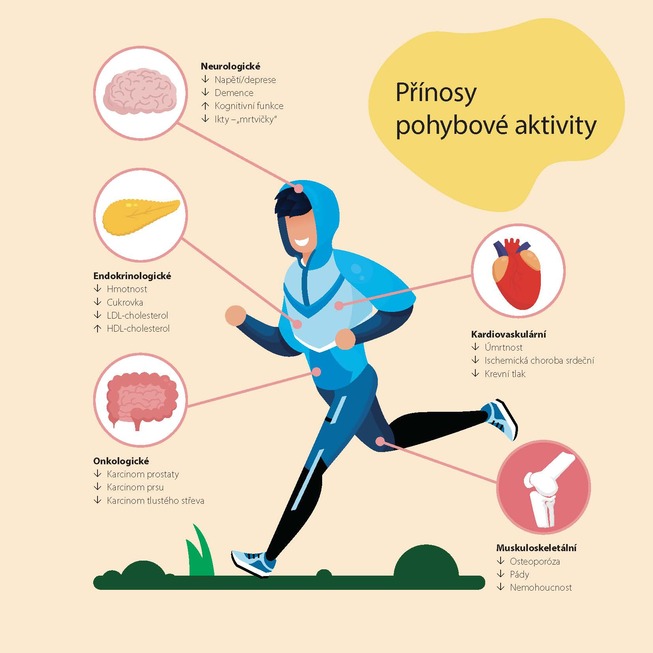 pohyb1