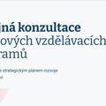veř_konzult