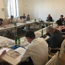 tripartita